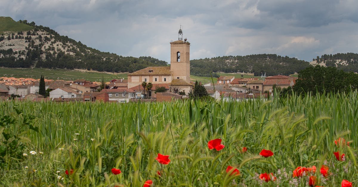 Scenic view of a rural village with a prominent church tower amidst lush greenery and flowers.